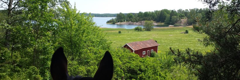 cvalimaa's profile banner image