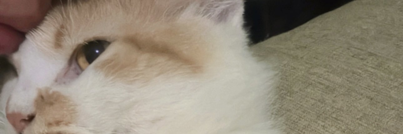 jjeno22's profile banner image