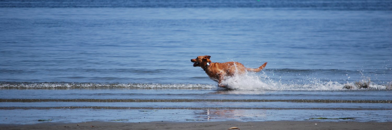 Christina Barron banner