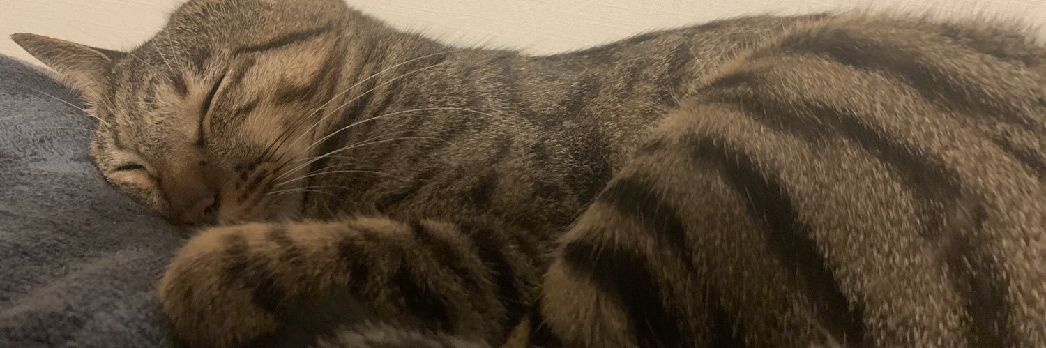 ny_koZ's profile banner image