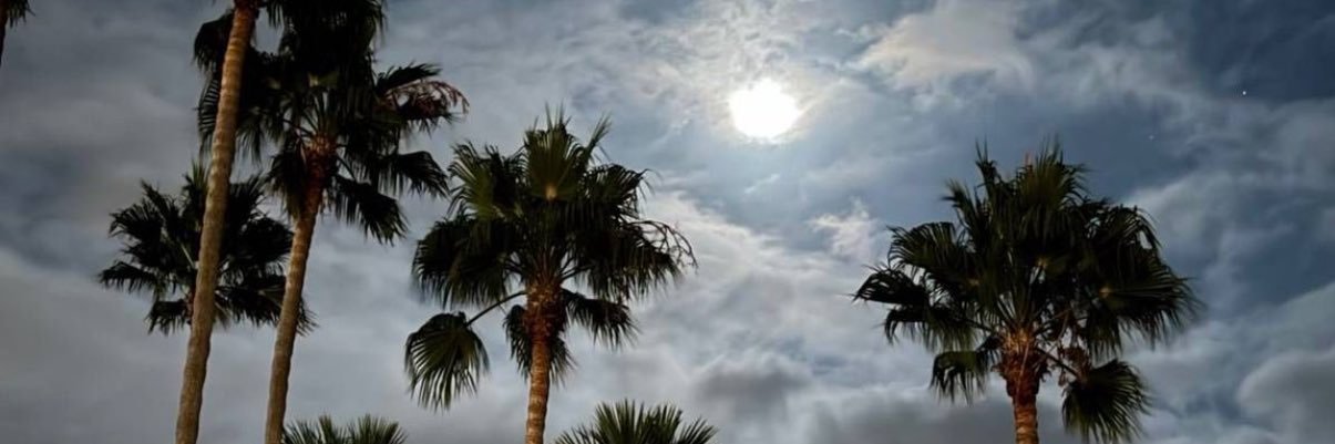 mayalsubaie's profile banner image
