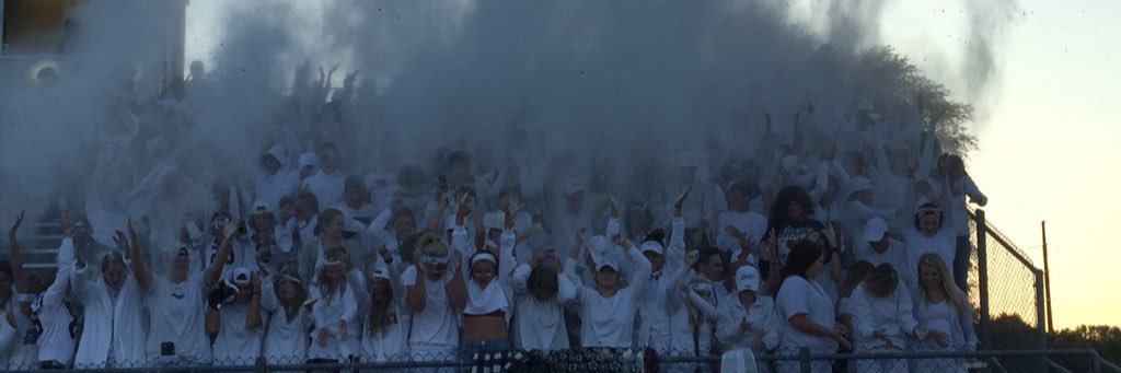 Holmen Vikings banner