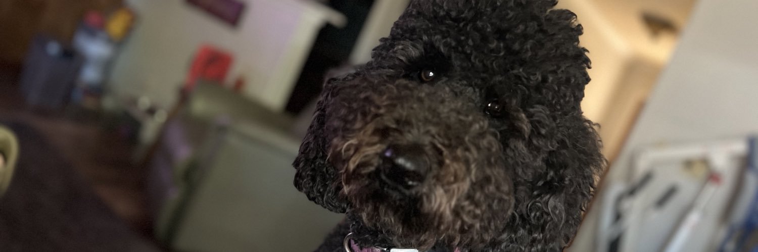 mhdavis1's profile banner image