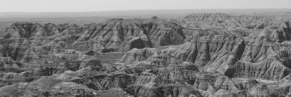 PaleontologyFacts banner