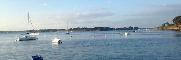 flodestang Profile Banner