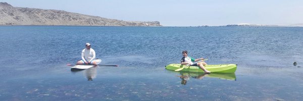 LocoBielsa33 Profile Banner