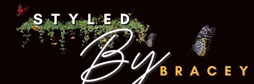 braceydaily's profile banner image
