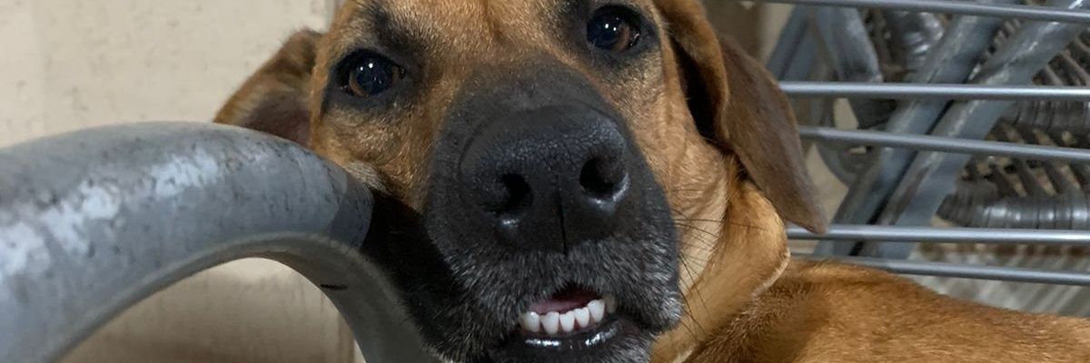 dudaamigao's profile banner image