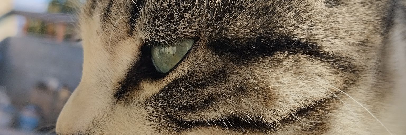 OliverMB666's profile banner image