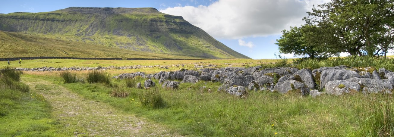 YorkshireNet's profile banner image