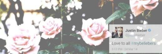 biebschapame's profile banner image