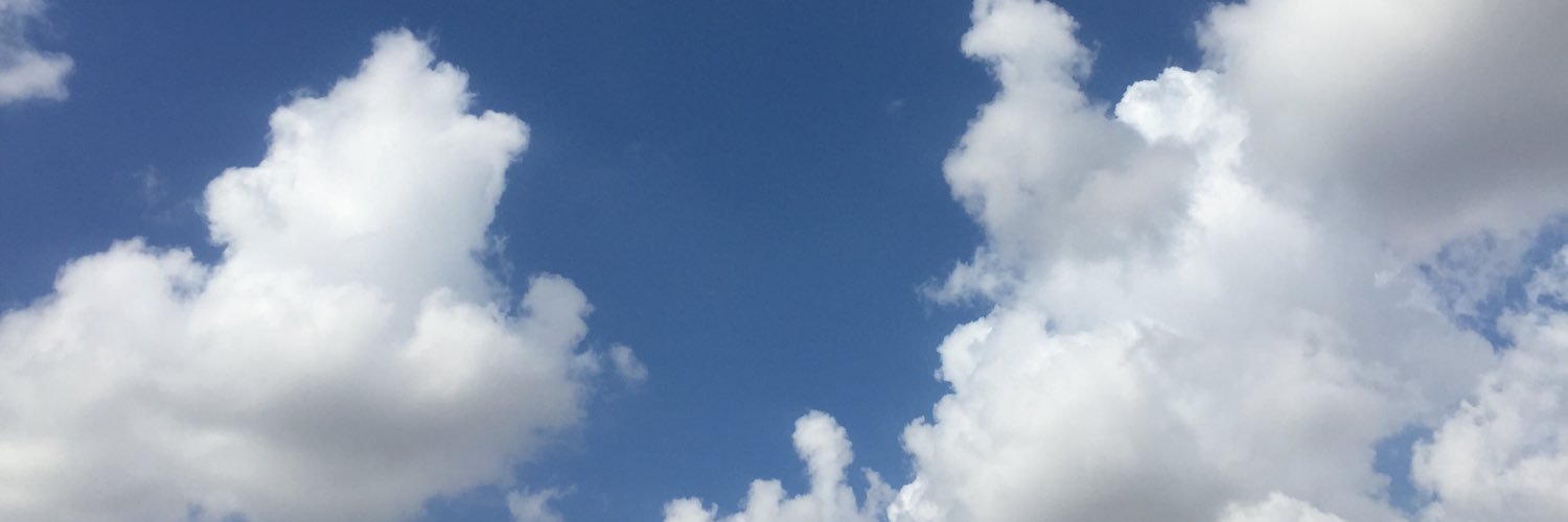 demet aydın banner
