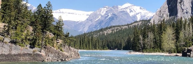 Rob Crooks (He/Him/His) banner