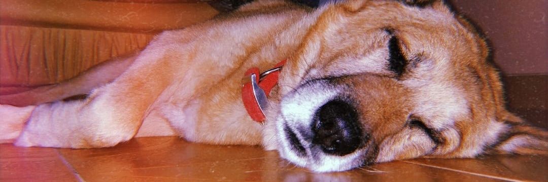 YamiGonzalez47's profile banner image
