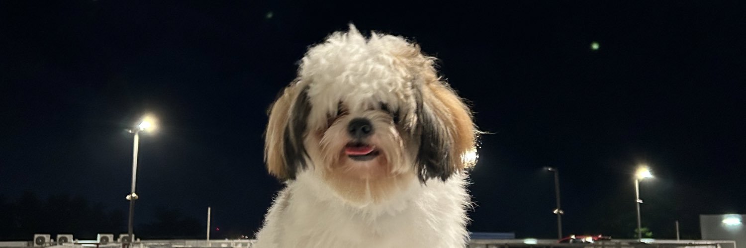 ybbeees's profile banner image