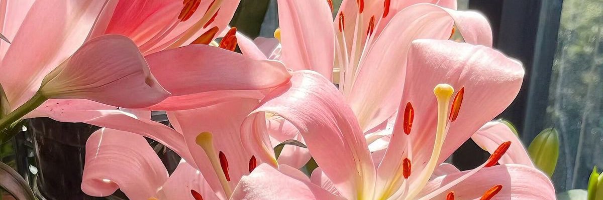 _karencorzo's profile banner image