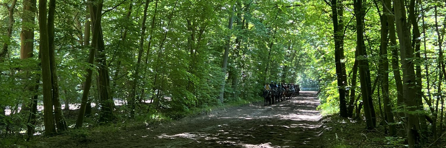 Lisa-Jane Graffard banner