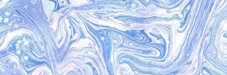 zoeehebert's profile banner image