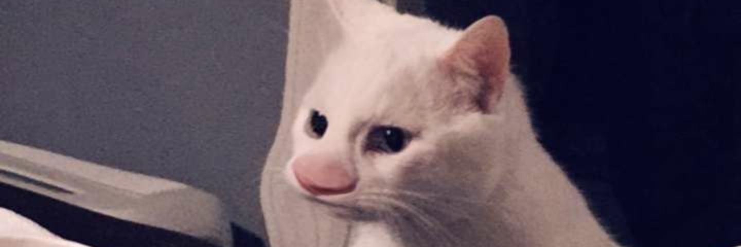 WildBillWFL's profile banner image