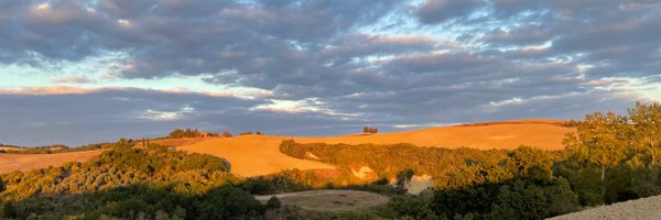 berlars Profile Banner