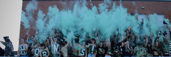 DHS_Swarm Profile Banner