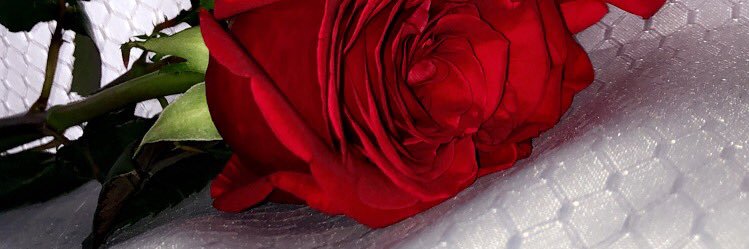 rosen190's profile banner image