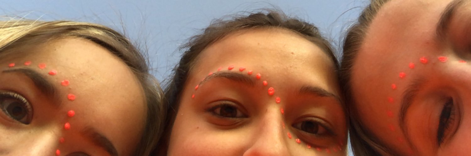 AllisonSweney's profile banner image