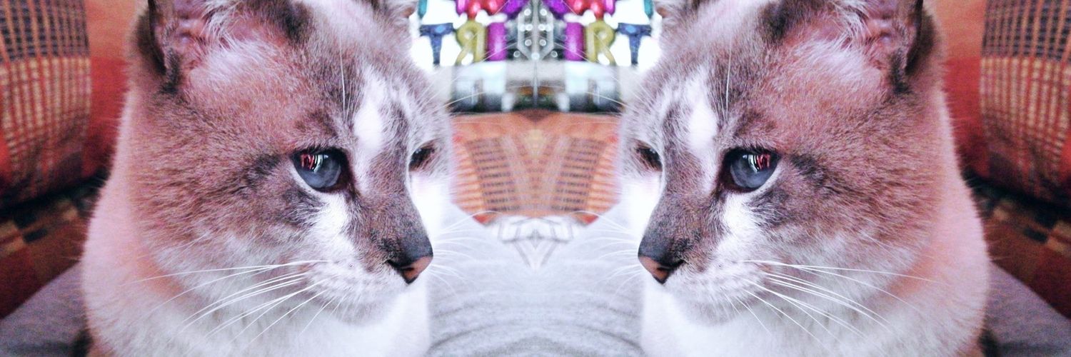 valedsaenz's profile banner image