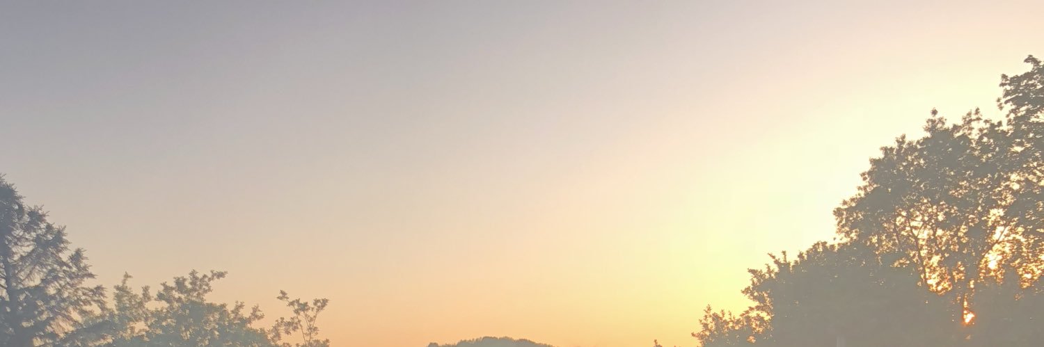 Juliereha's profile banner image