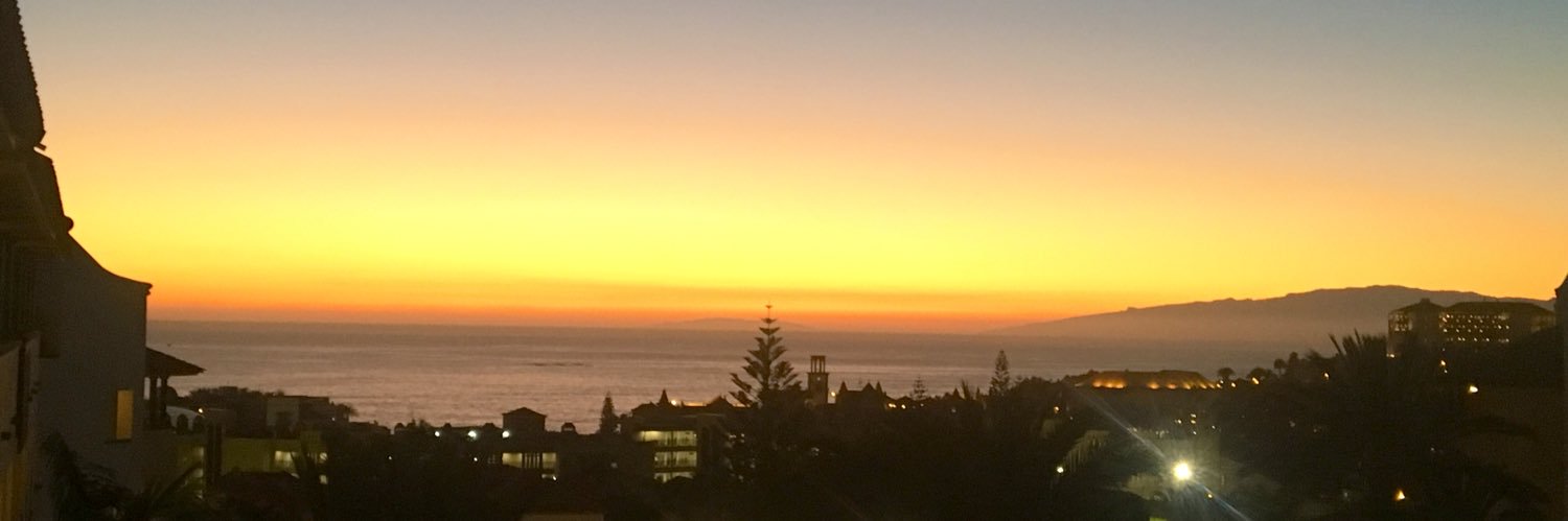 Maxine Tennet banner