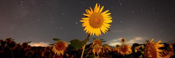 hassi5101's profile banner image