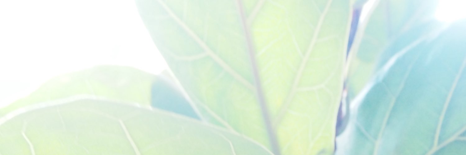 cocoa_m27's profile banner image
