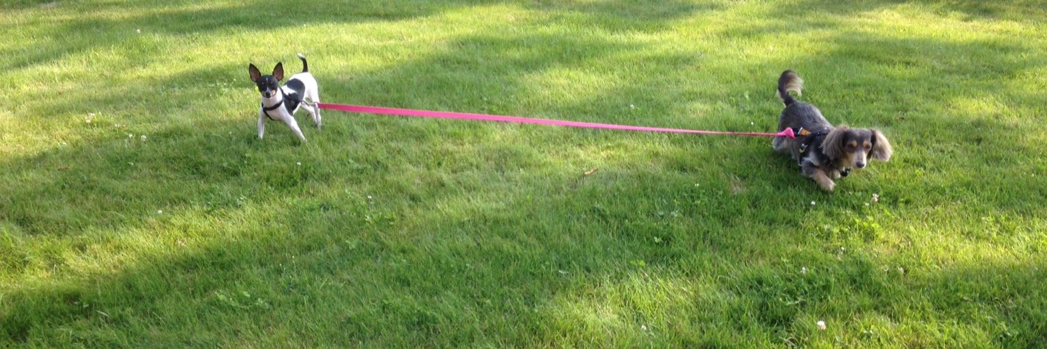 Monika banner