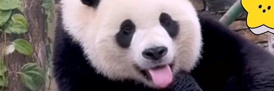 mascrate's profile banner image