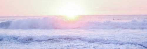 __brassica's profile banner image