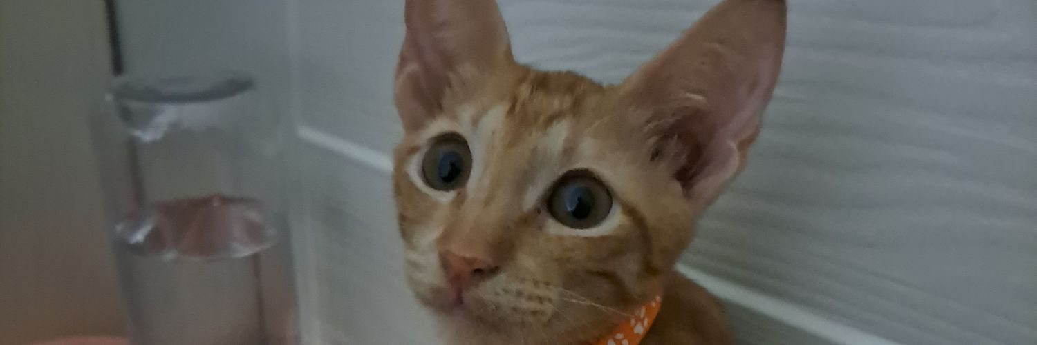 itscoloneldan's profile banner image