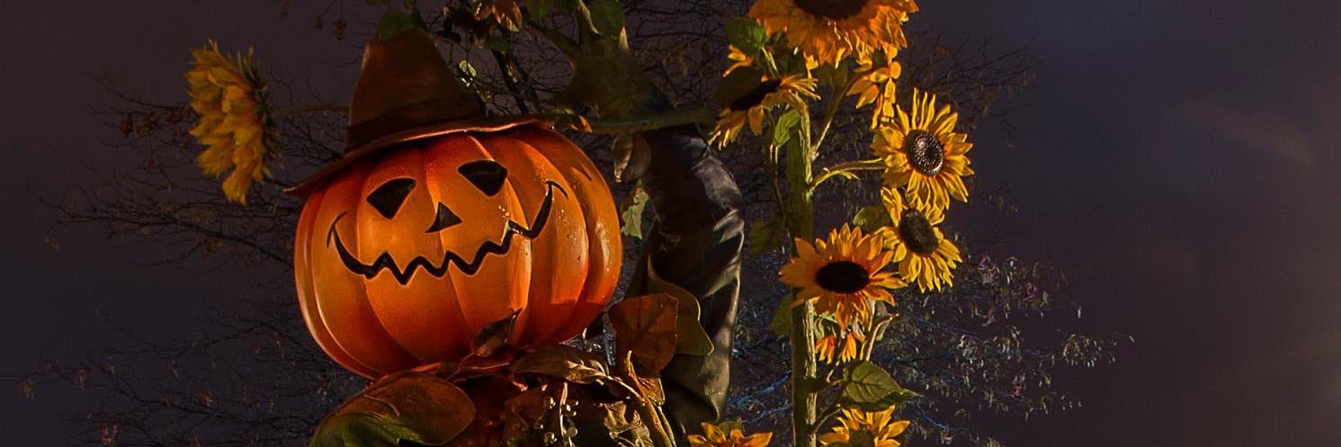 Edge Magazine banner