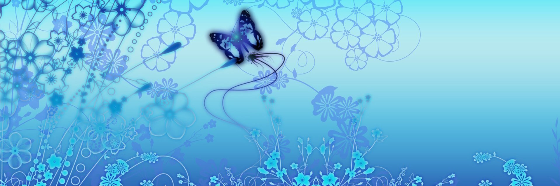 Claudia Acevedo banner