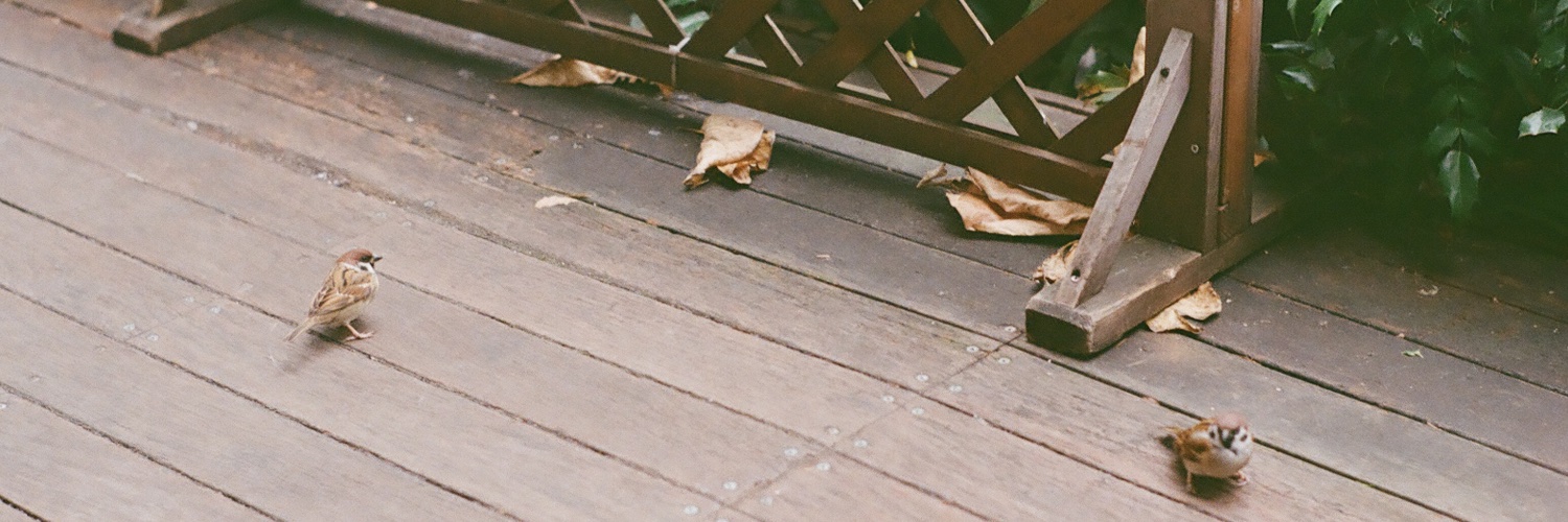 jxwychy's profile banner image