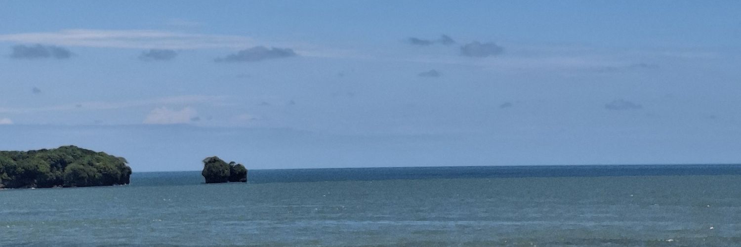 lfelipeloperah's profile banner image
