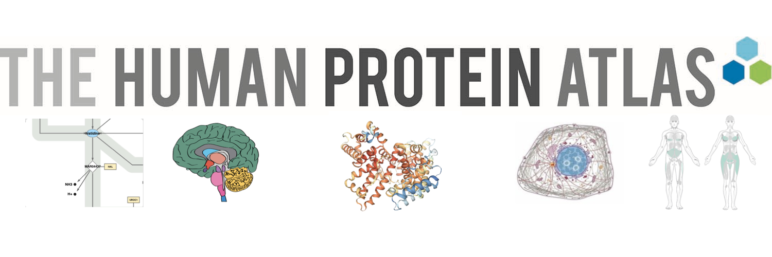 Human Protein Atlas's banner