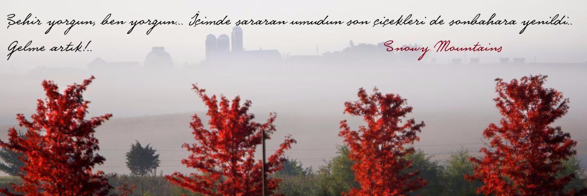 mountains1616's profile banner image