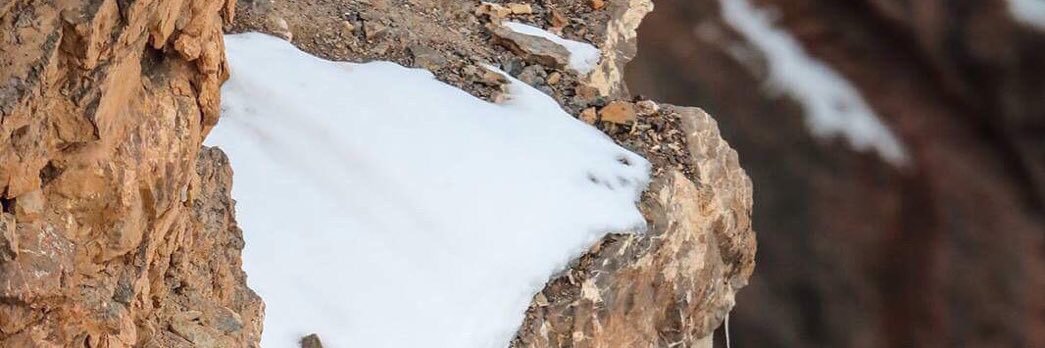 uuaork's profile banner image