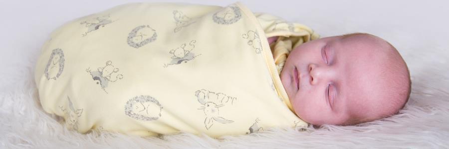 BabyAcornBaby's profile banner image