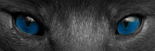 CraigDonis's profile banner image