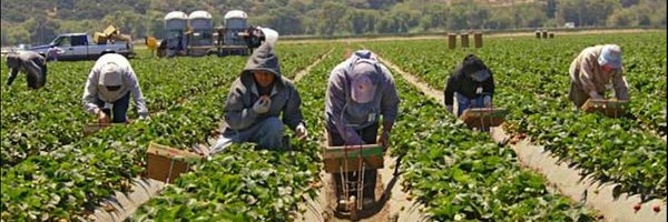 DaveedEstrada Profile Banner