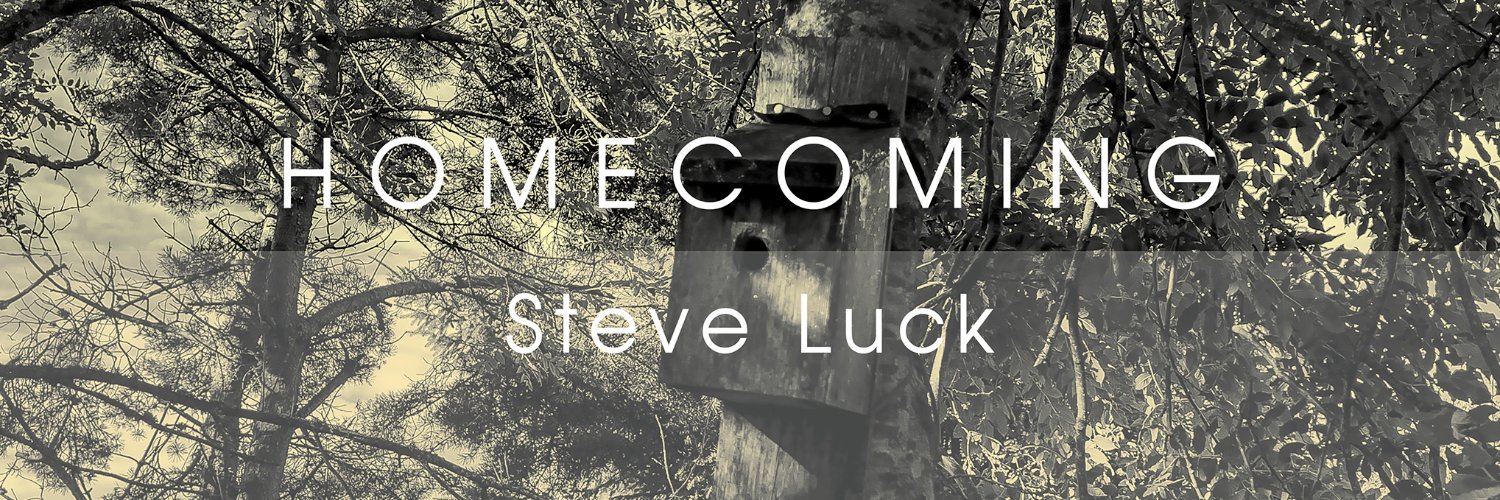 Steve Luck banner