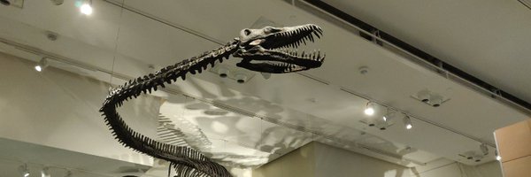 Jack_Davidson24 Profile Banner