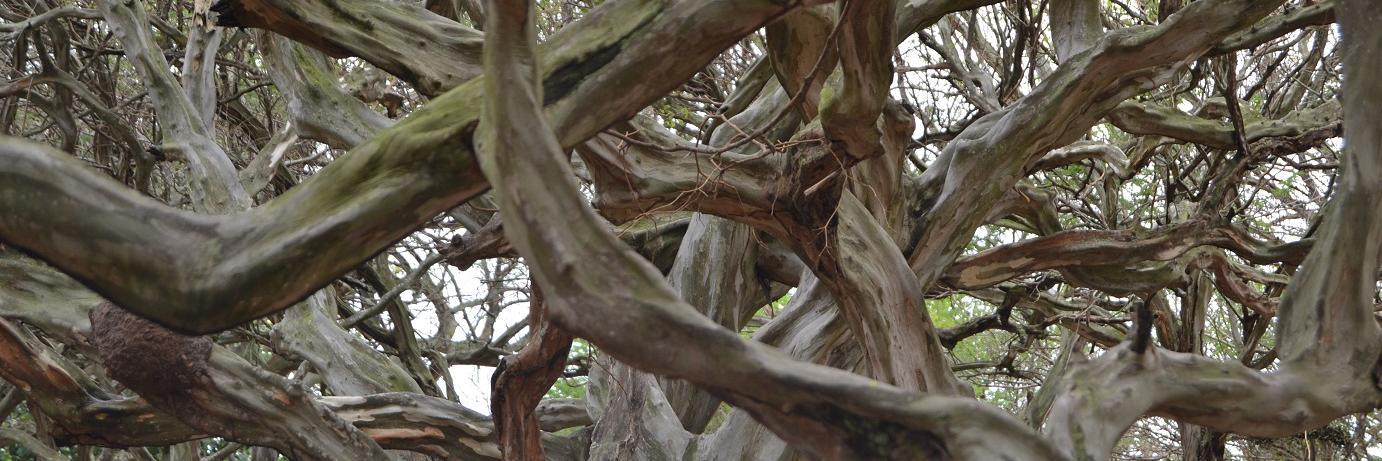 yagodim's profile banner image