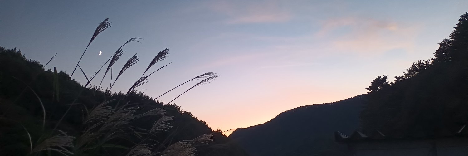 oozuvy's profile banner image